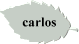 carlos